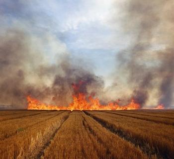 Larry Schwarm. Wheat Stubble Fire, Eastern Colorado. 1992, printed 2004 Photo