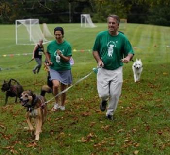 Doggie Dash Photo