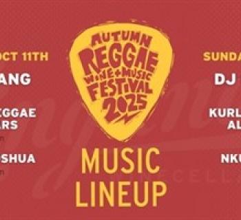 Music Lineup Photo