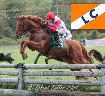 Steeplechae Jump Photo