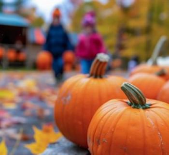 Pumpkin Festival Photo