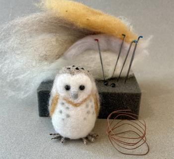 Barn Owl example Photo