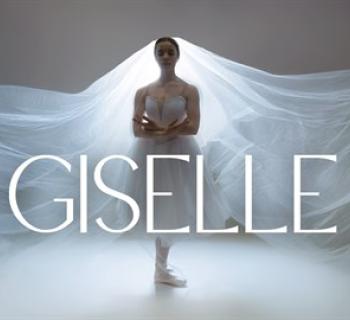 A backlit dancer posing with a veil Photo
