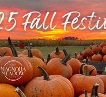 Pumpkins at Magnolia Meadow Farms Photo