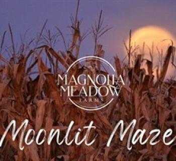 Moonlit corn maze at Magnolia Meadow Farms Photo