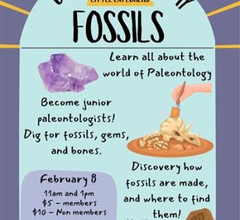 image of a purple crystal, a cartoonish hand dusting for fossils, and of two fossils. Photo