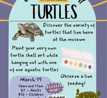 Light Lavender Background with yellow lines at the top.  Shows the kind of craft kids can complete. Photo