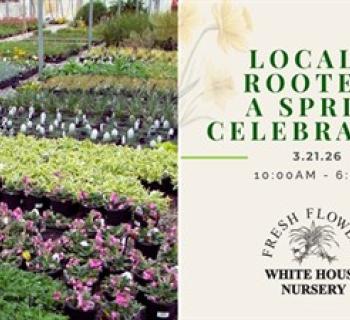 Locally Rooted Photo