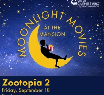 Moonlight Movies Photo