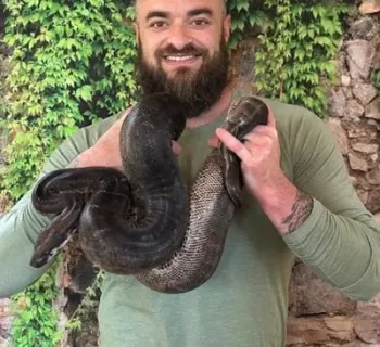 Reptile extravaganza Photo