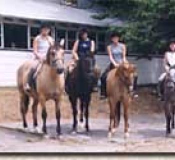 Horse riding at horse farm Photo