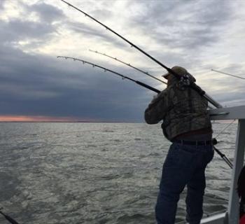 Tamshell II Charters Photo