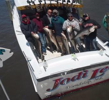 Picture of fishing party holding up their catch of Rockfish aboard the Jodi Lee Photo