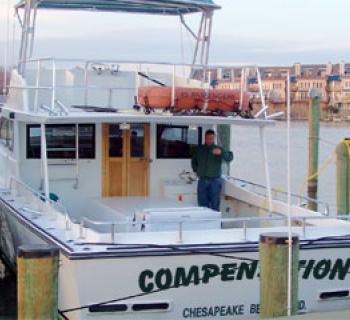 The "Compensation" Photo