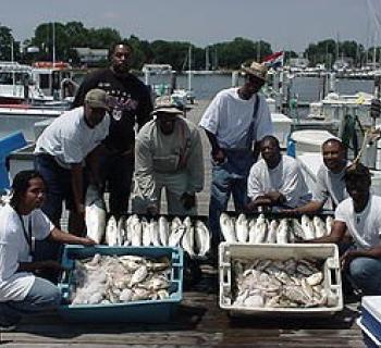 Catches of the day Photo