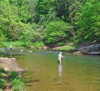 Spring Creek Outfitters Photo