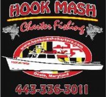 Hook Mash Logo Photo