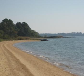 Newtowne Neck State Park Photo