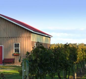 Picture of a building and grape vines at Triple Creek Winery Photo