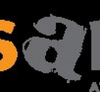 VisArts logo Photo