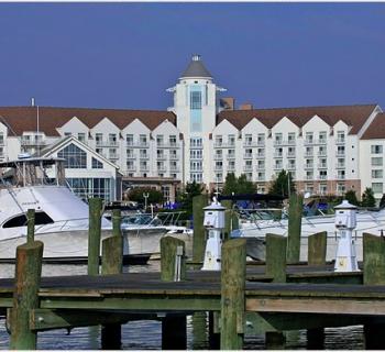 River Marsh Marina at the Hyatt Regency Photo