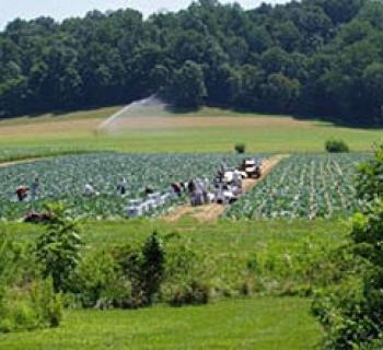 Richardson Farms-White Marsh Photo