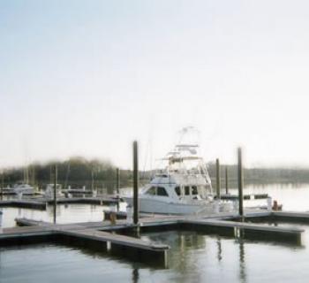 Queen Anne Marina Photo