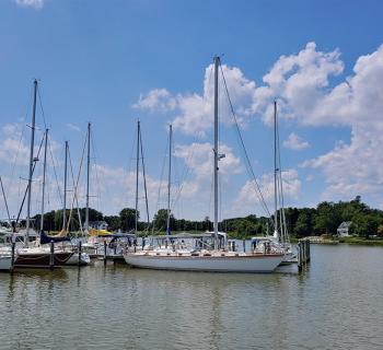 Island View Marina Photo