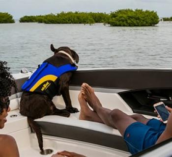 Couple with their dog relaxing on a boat  Photo