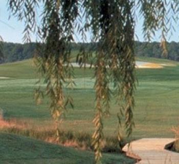 golf course Photo