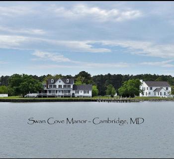 Swan Cove Manor Photo