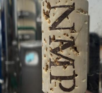 New Market Plains Vineyard Photo