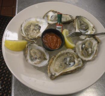 Oysters Photo