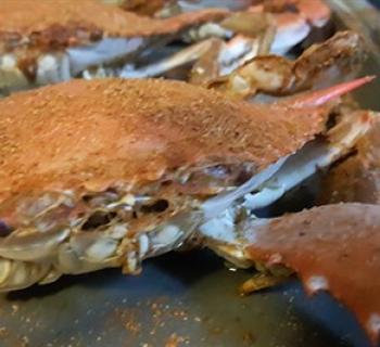 crab Photo