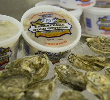 Packaged Oysters Photo