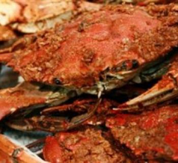 Steamed crabs Photo