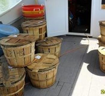 Baskets of crabs Photo
