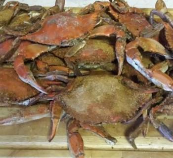 Steamed crabs at Gay's Seafood Photo