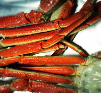 Snow crab legs Photo