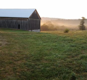 Antietam Creek Vineyards Photo