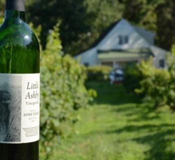 Wine at Little Ashby Vineyards Photo