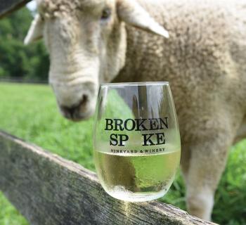 Picture of a sheep with a glass of white wine from Broken Spoke Vineyard and Winery Photo