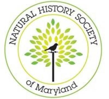 The Natural History Society of Maryland logo Photo