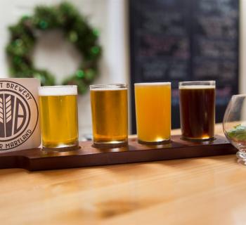 Samples of AleCraft Brewing beers Photo