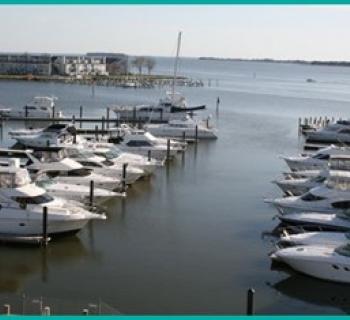 Wells Cove Marina aerial view Photo