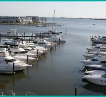 Wells Cove Marina aerial view Photo