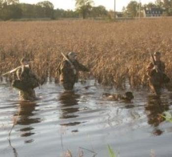 Gatling Guide Service Photo