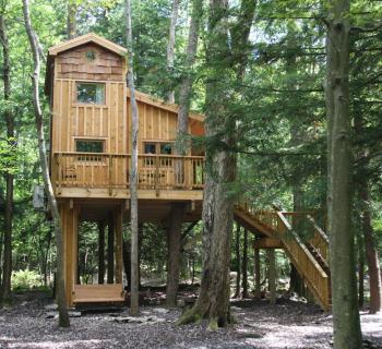 Treehouse Photo