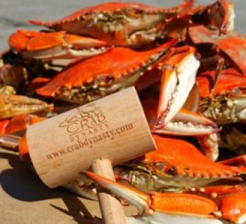Maryland Crabs Photo