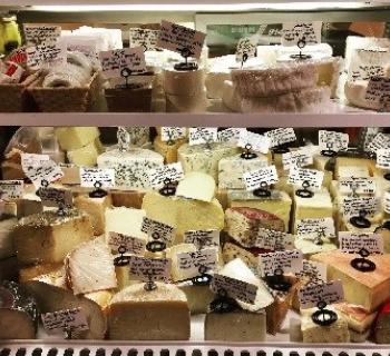 Cheese counter Photo